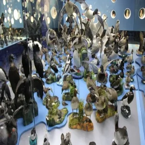 Foto de Borgarnes Museum