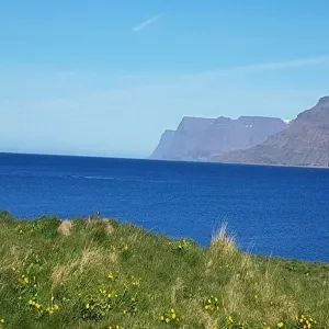 Foto de Vigur Island